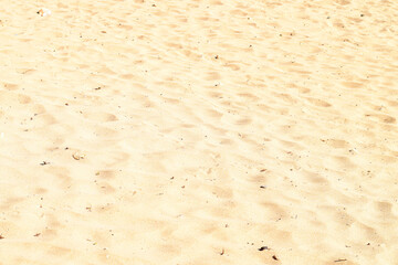 Yellow sandy wall texture background. High resolution yellow sandy wall surface texture, perfect for backgrounds, grunge design, and abstract patterns.