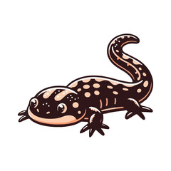 
salamander illustration design