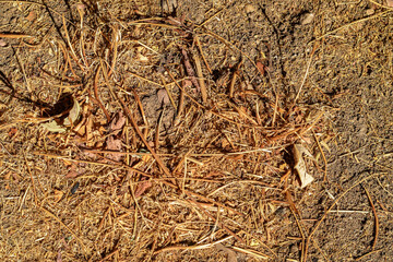 Dry ground surface texture with cracks. High resolution dry cracked soil texture, natural earth background for design.