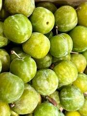 close-up of green plums
