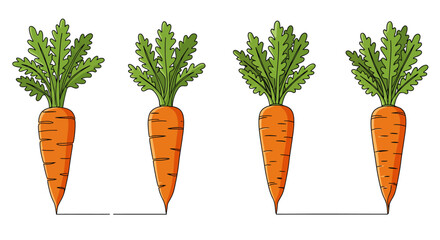 Four vibrant orange carrots with green leafy tops displayed in a row
