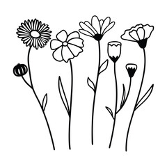 wild flowers line art on white background