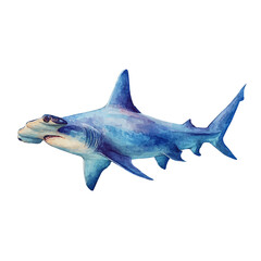 Watercolor vector illustration of Hammerhead Shark, isolated on white background.