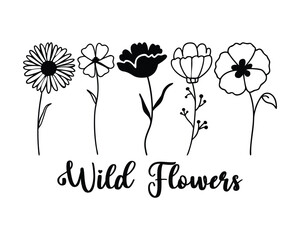 wild flowers line art 