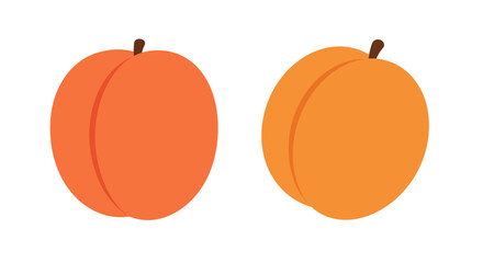 Two vibrant orange apricots displayed with stems a simple fruit illustration