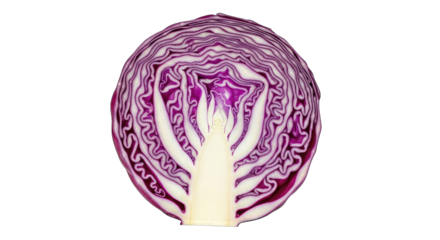 Red Cabbage Cross Section with Intricate Leaf Patterns isolated on a transparent background