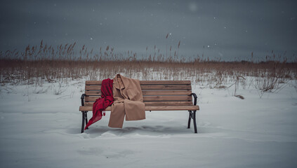 Winter bench with draped clothing snow coat