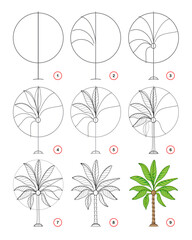 Page shows how to draw step by step a decorative palm tree. Developing children skills for drawing and coloring. Printable worksheet for kids school exercise book. Flat vector illustration.