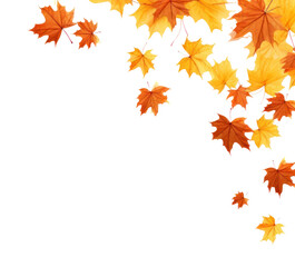 PNG Falling autumn maple leaves border plant leaf tree.