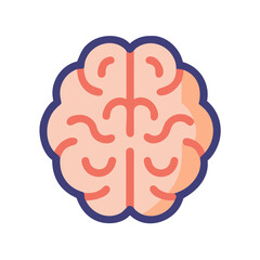 Human brain anatomy illustration for medical education and neuroscience research design icon