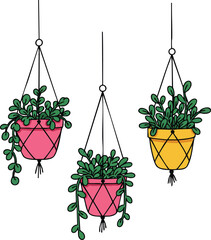 Hanging potted plants with trailing green leaves in pink and yellow planters indoor decoration vector art 