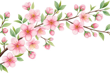 Fototapeta premium Delicate pink cherry blossoms and green leaves bloom on a dark background symbolizing spring and new beginnings
