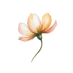 Delicate watercolor illustration of a floral element