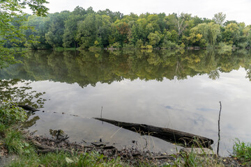  Forest trees reflected in calm lake water with green grass in foreground. Landscape nature photography. Summer season outdoor and eco tourism concept for design and print