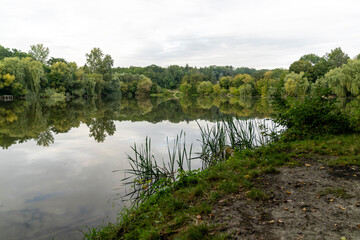  Forest trees reflected in calm lake water with green grass in foreground. Landscape nature photography. Summer season outdoor and eco tourism concept for design and print