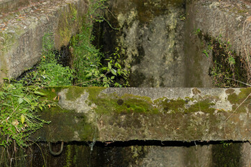 Stone bridge beam covered with moss and green plants in an old water canal. Outdoor nature photography. Abandoned construction and overgrown architecture concept. Design for poster, wallpaper, banner,