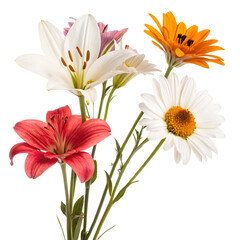 Assortment of Vibrant Flowers with White Lily and Red Lily Against Black Background