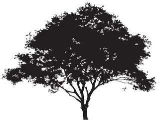 Decorative alder tree silhouette design isolated for vector artwork