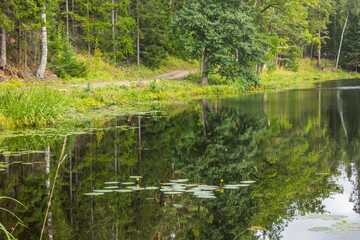 One of the many backwaters on Valaam Island. Northwest Russia
