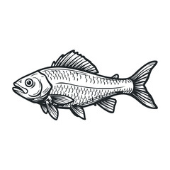 Swimming fish illustration ocean depths graphic art marine environment side view nature concept for seo impact. Vector illustration