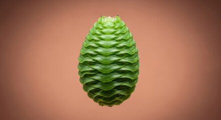 Green Cone Flower Bud Against a Plain Background