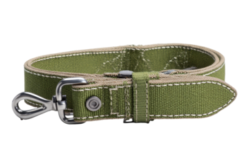 Olive-green canvas dog collar with tan stitching and metal hardware
