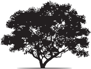 Fototapeta premium Majestic cottonwood tree silhouette vector illustration artwork