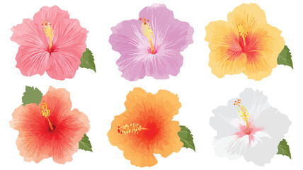 Obraz premium Vibrant Hibiscus Icon Isolated on White Background for Creative Designs
