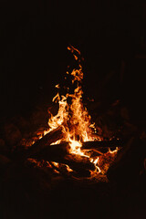 Ognisko