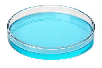 Petri Dish with Bright Blue Liquid A Close-Up View of a Science Experiment