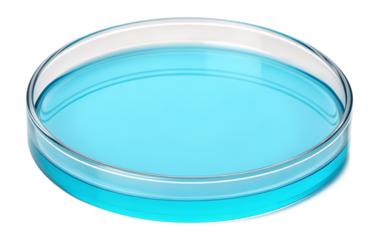 Petri Dish with Bright Blue Liquid A Close-Up View of a Science Experiment