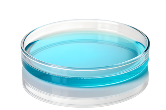 A clear glass petri dish filled with a vibrant blue liquid, reflecting light and creating a subtle shadow on a white background, representing scientific research and laboratory work