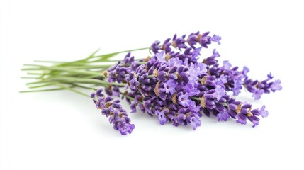 Fototapeta premium Fragrant Lavender Bouquet: A Close-Up of Purple Flowers