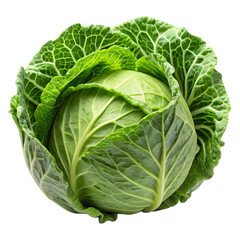 Obraz premium Fresh Green Cabbage With Intricate Leaf Veins fresh vegetable