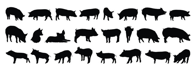 pig and piglet silhouette set. pig and piglet isolated farm animal silhouette icon vector collection