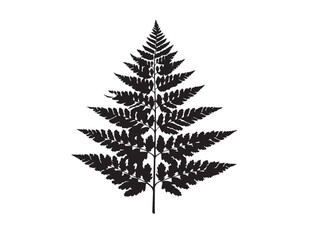Exotic fern frond silhouette vector illustration elegant stock design