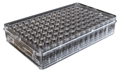 Clear plastic tray with numerous cylindrical wells