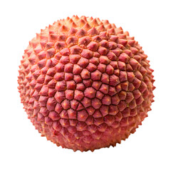 Fototapeta premium Red Lychee Fruit With Spiky Texture Isolated pink
