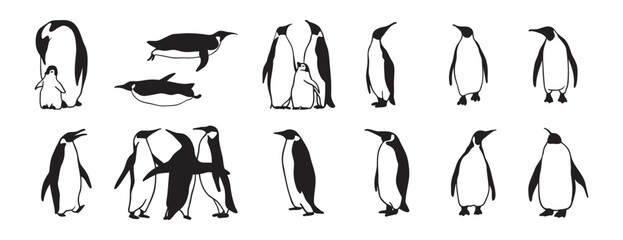 penguin logo doodle hand drawn icon set. Outline drawing penguin line clipart symbol collection
