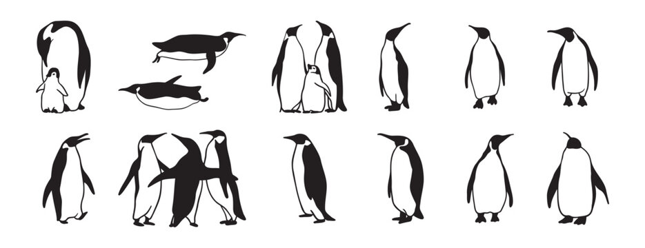 penguin logo doodle hand drawn icon set. Outline drawing penguin line clipart symbol collection