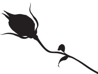 Creative natural flower bud silhouette vector illustration in black design