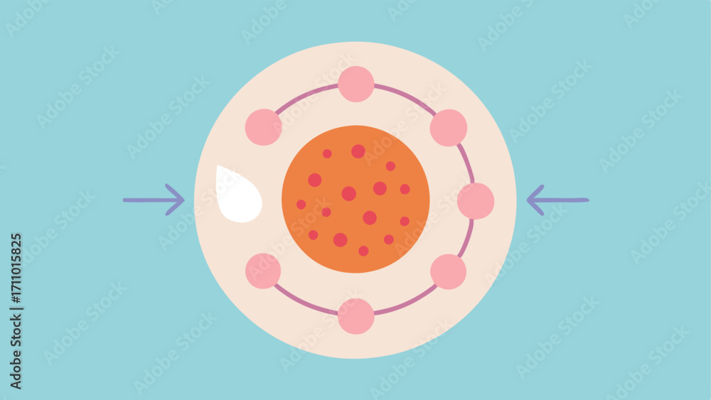 Poster circular exfoliation a circular diagram displaying the exfoliation process. sections show dead skin 