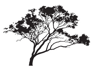 Beautiful ironwood tree silhouette artwork with organic elegance
