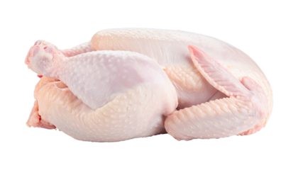 Raw whole chicken carcass lying on transparent background