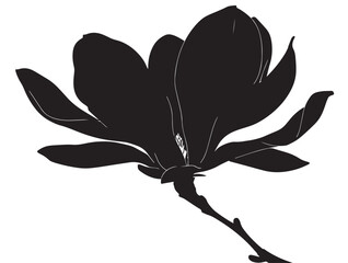 Magnolia flower silhouette vector illustration in solid artwork