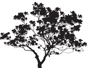 Elegant magnolia tree silhouette vector illustration decorative artwork © milon