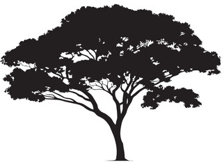 Artistic mahogany tree silhouette elegant vector illustration artwork