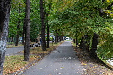 Tree-lined bicycle path with bike lane markings through green urban park with benches and people walking on sunny autumn day. Eco-friendly transportation, active lifestyle and city recreation.