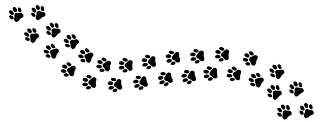 Animal paw print with cute cat and dog track for a footprint path or pet vector design. This charming illustration features multiple pawprints in a natural pattern, perfect for creating playful backgr © Елена Сорокина