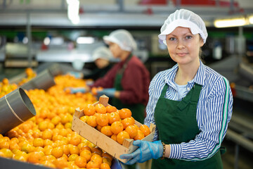 Smiling female worker of citrus sorting factory showing ripe selected mandarin oranges packed in...